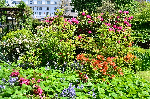 25 05 13_3141.JPG - CENTRAL GARDENS - BOURNEMOUTH - MAY 2013